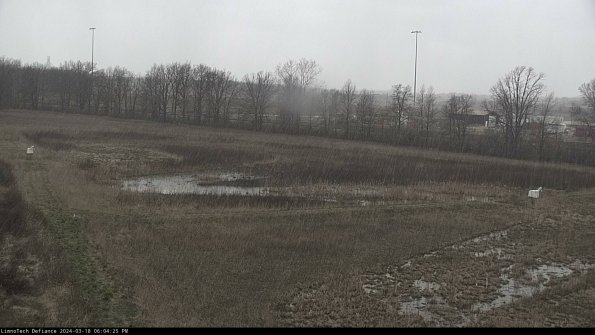 Cell 2_24-03-18_18-04-26-18