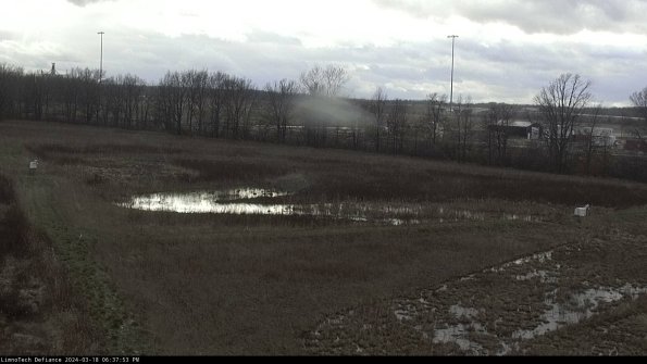 Cell 2_24-03-18_18-37-54-19