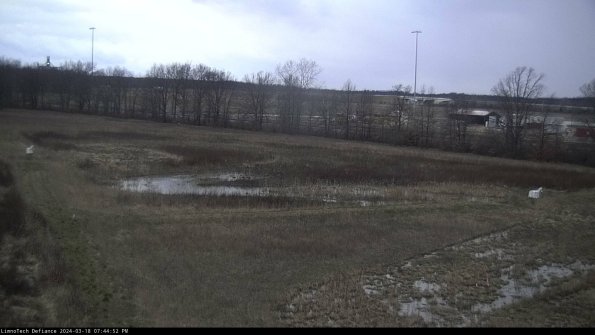 Cell 2_24-03-18_19-44-53-15