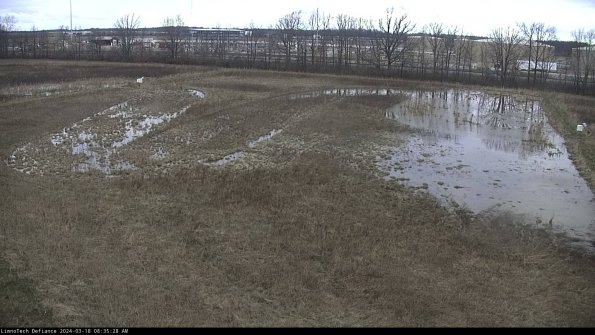 Cell 3_24-03-18_08-35-29-13