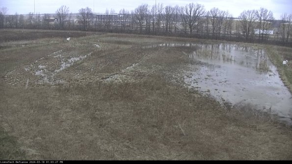 Cell 3_24-03-18_13-03-28-15