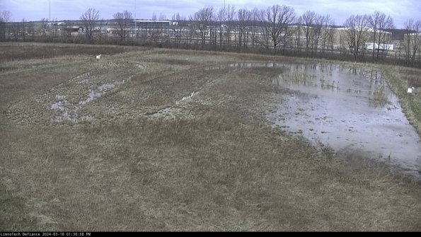 Cell 3_24-03-18_13-36-59-16