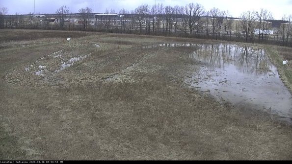 Cell 3_24-03-18_15-50-54-15