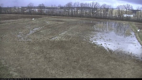 Cell 3_24-03-18_16-24-25-13