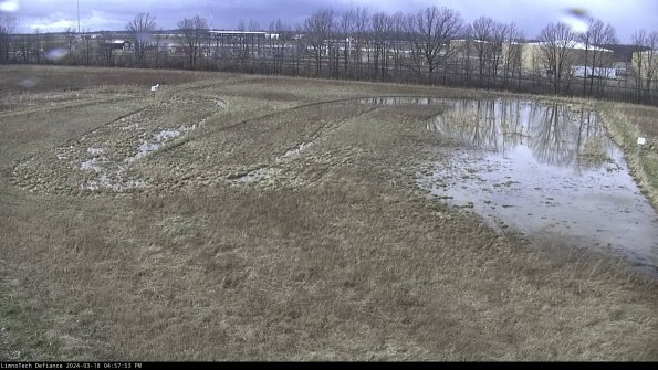 Cell 3_24-03-18_16-57-54-15