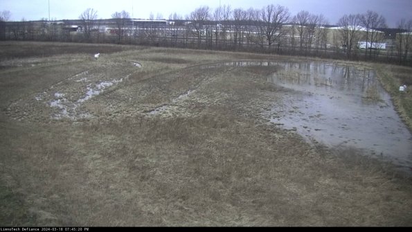 Cell 3_24-03-18_19-45-21-14