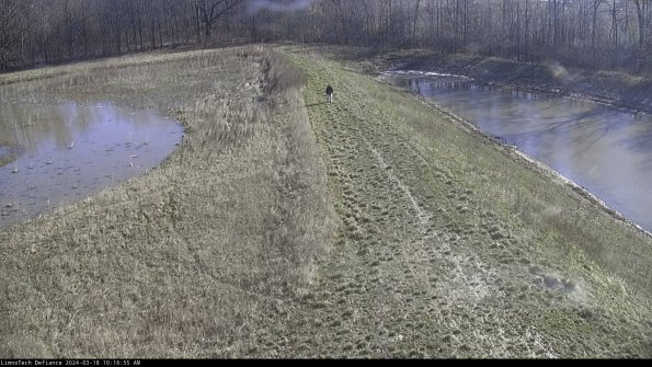 Cell 4 to Basin_24-03-18_10-16-56-16