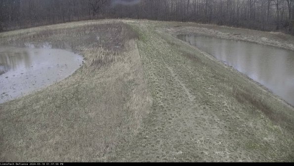 Cell 4 to Basin_24-03-18_13-37-57-15