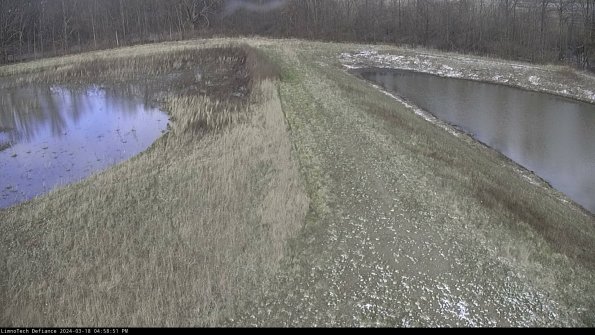 Cell 4 to Basin_24-03-18_16-58-52-17