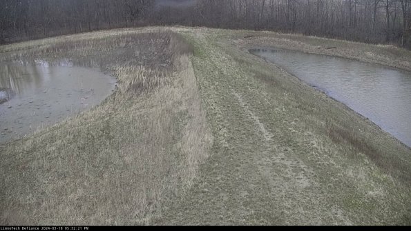 Cell 4 to Basin_24-03-18_17-32-22-15