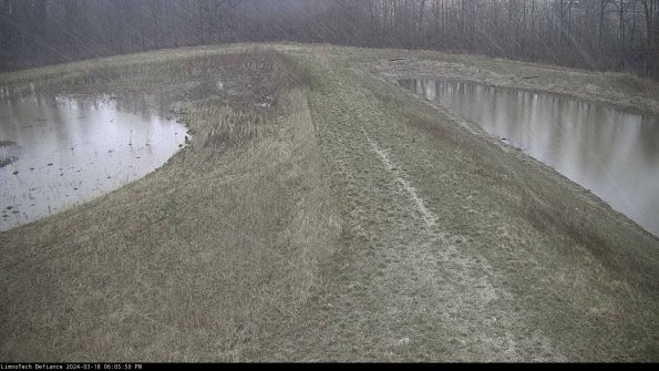 Cell 4 to Basin_24-03-18_18-05-51-17