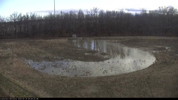 Cell 4_24-03-18_09-09-27-17