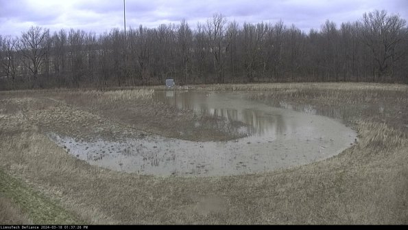 Cell 4_24-03-18_13-37-27-16