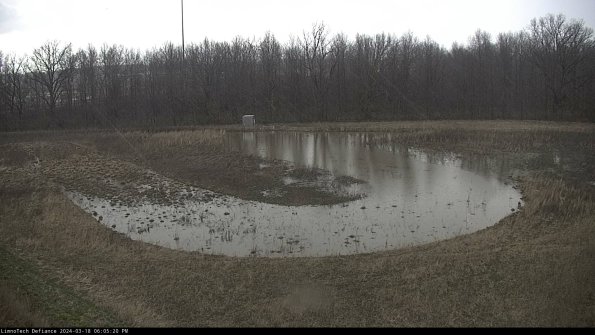 Cell 4_24-03-18_18-05-21-14