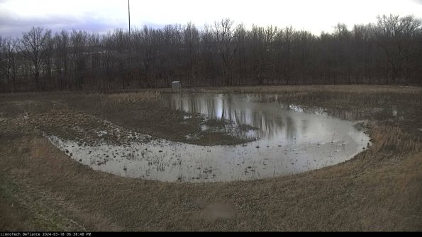 Cell 4_24-03-18_18-38-49-15