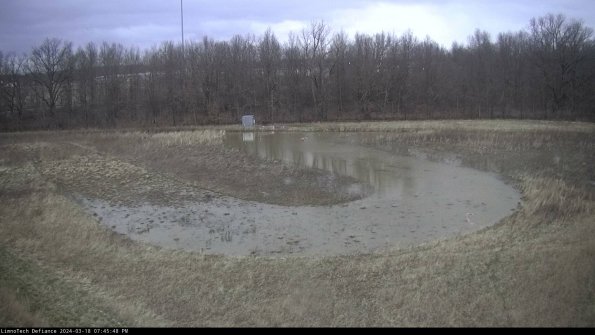 Cell 4_24-03-18_19-45-49-14