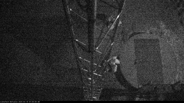 Hatch_24-03-18_07-00-01-10