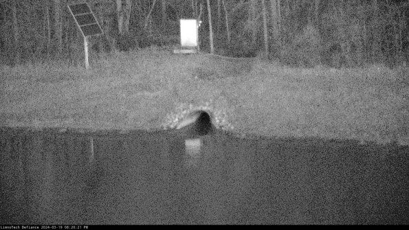 Basin Inflow_24-03-19_20-20-22-14