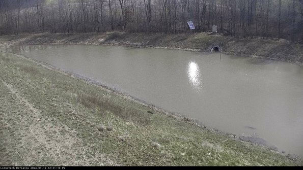 Basin_24-03-19_12-31-11-31