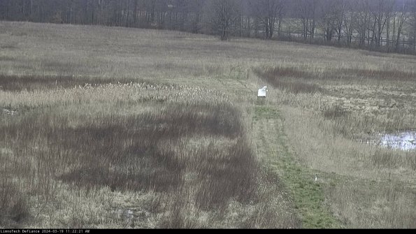 Cell 1 to 2_24-03-19_11-22-22-13