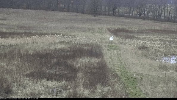 Cell 1 to 2_24-03-19_11-55-51-15