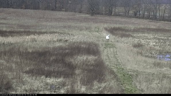 Cell 1 to 2_24-03-19_12-29-20-13