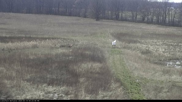 Cell 1 to 2_24-03-19_16-23-49-15