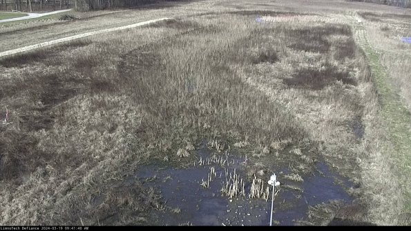 Cell 1_24-03-19_09-41-41-14