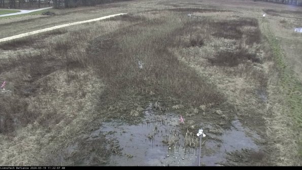 Cell 1_24-03-19_11-22-08-15