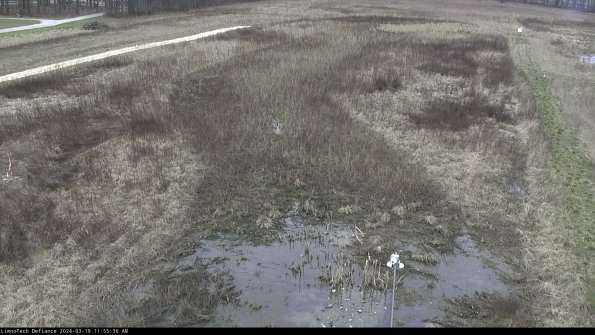 Cell 1_24-03-19_11-55-37-13