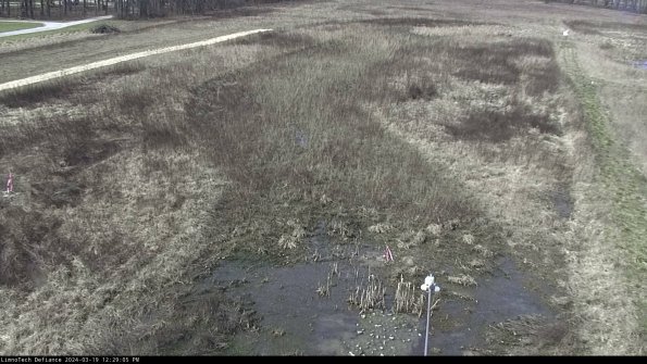 Cell 1_24-03-19_12-29-06-15