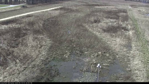 Cell 1_24-03-19_13-36-06-14