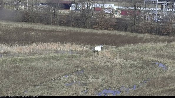 Cell 2 to 3_24-03-19_09-42-21-18