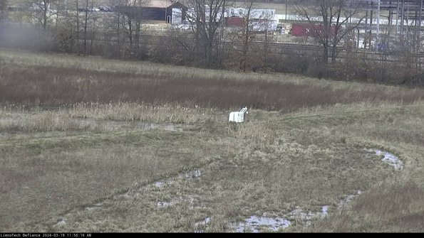 Cell 2 to 3_24-03-19_11-56-17-17