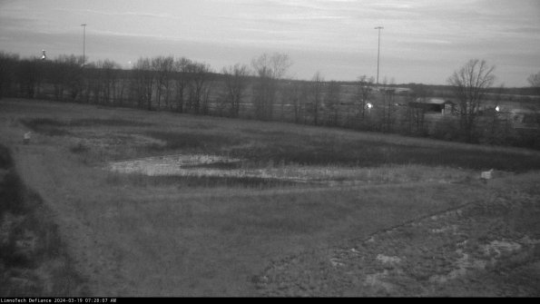 Cell 2_24-03-19_07-28-08-25