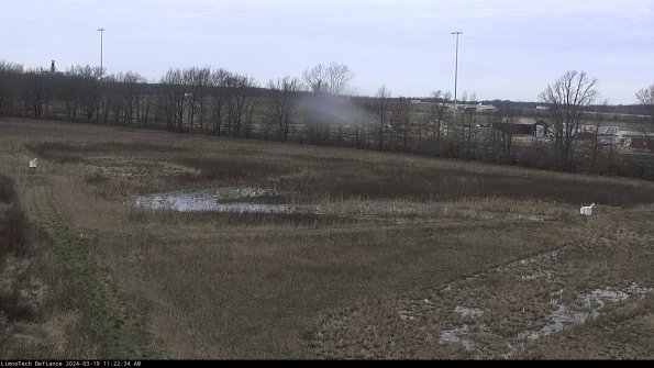 Cell 2_24-03-19_11-22-35-18