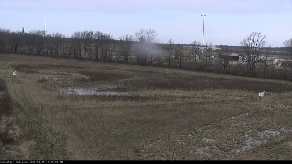 Cell 2_24-03-19_11-56-04-19