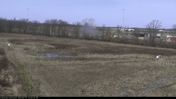 Cell 2_24-03-19_12-29-33-17