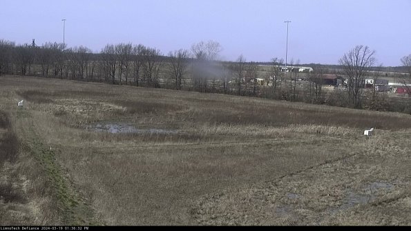 Cell 2_24-03-19_13-36-33-20