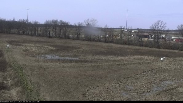 Cell 2_24-03-19_14-10-02-22