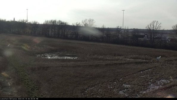 Cell 2_24-03-19_18-38-01-20