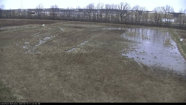 Cell 3_24-03-19_11-23-03-14