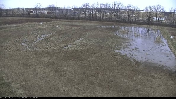 Cell 3_24-03-19_11-56-31-39