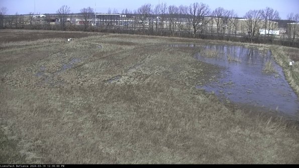 Cell 3_24-03-19_12-30-01-13