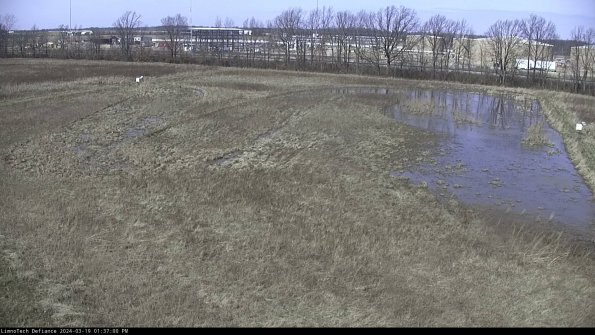 Cell 3_24-03-19_13-37-01-13