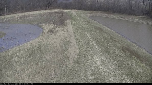 Cell 4 to Basin_24-03-19_14-11-28-14