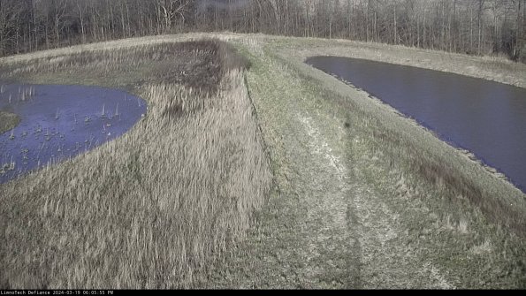 Cell 4 to Basin_24-03-19_18-05-56-14