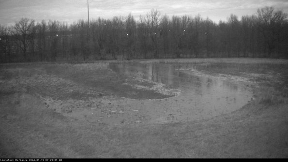 Cell 4_24-03-19_07-29-04-14