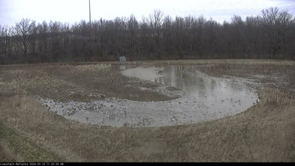 Cell 4_24-03-19_11-23-31-13