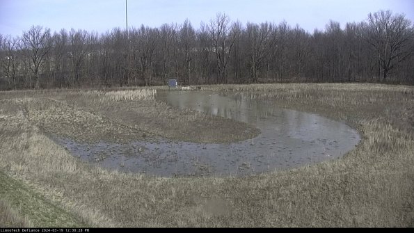 Cell 4_24-03-19_12-30-29-16